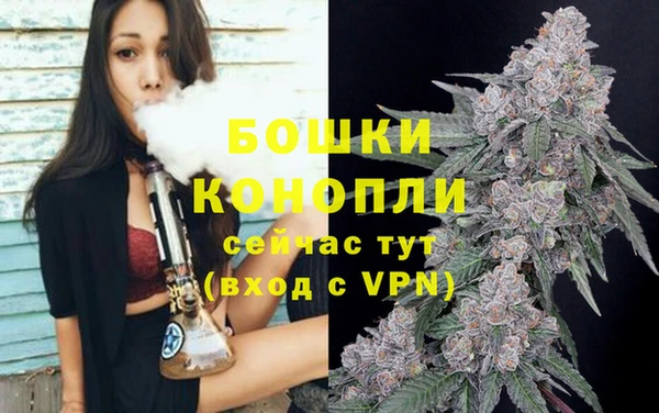 крисы Вязники